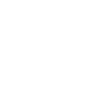 Tailored Designs Solutions